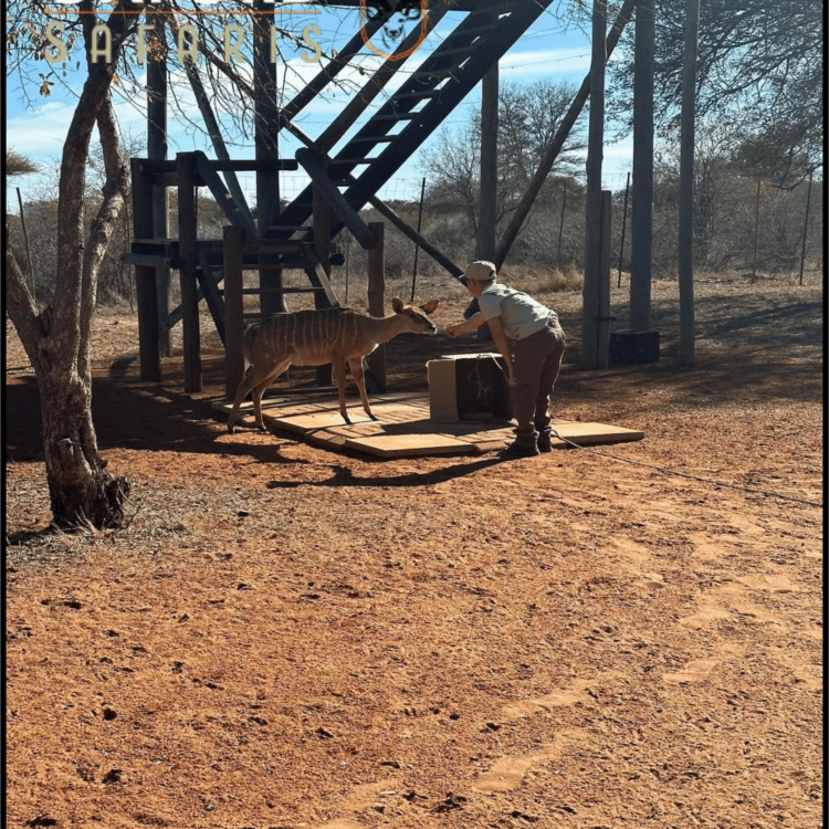 Our lodge