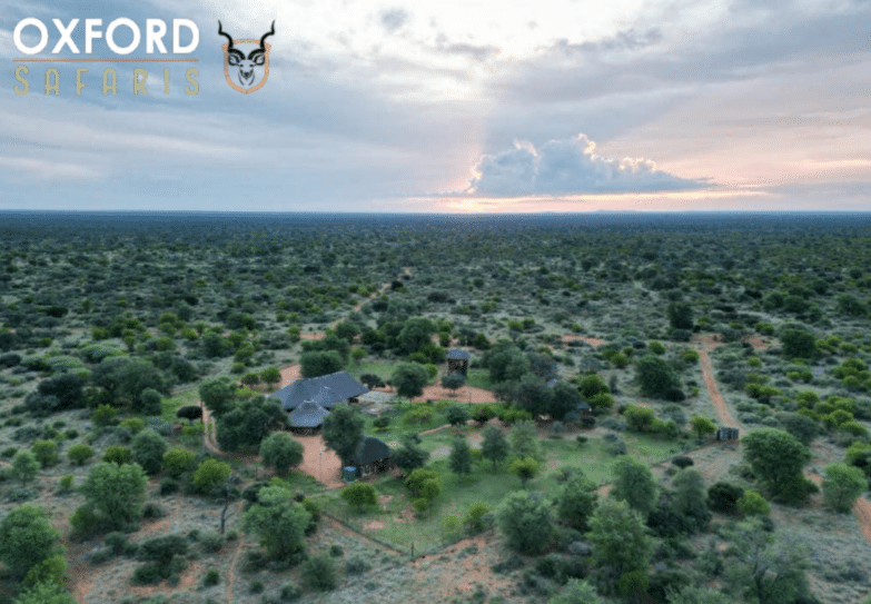 Home: Oxford Safaris