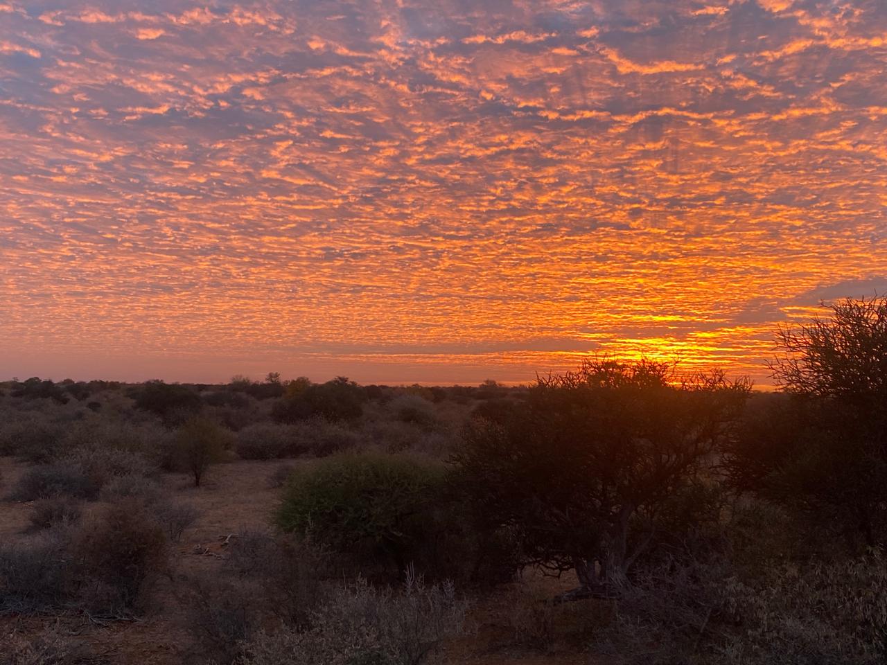 hunting in south africa